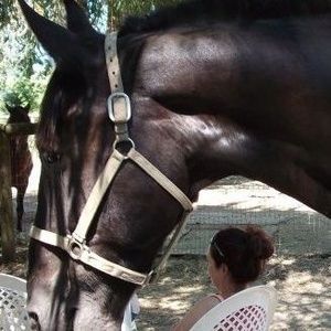 Meet your Posher, Elizabeth